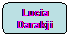 Rektangel med rundade hrn: Lucia Darakji

