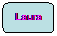 Rektangel med rundade hrn: Laura

