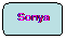 Rektangel med rundade hrn: Sonya
