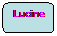 Rektangel med rundade hrn: Lucine
