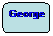 Rektangel med rundade hrn: George
